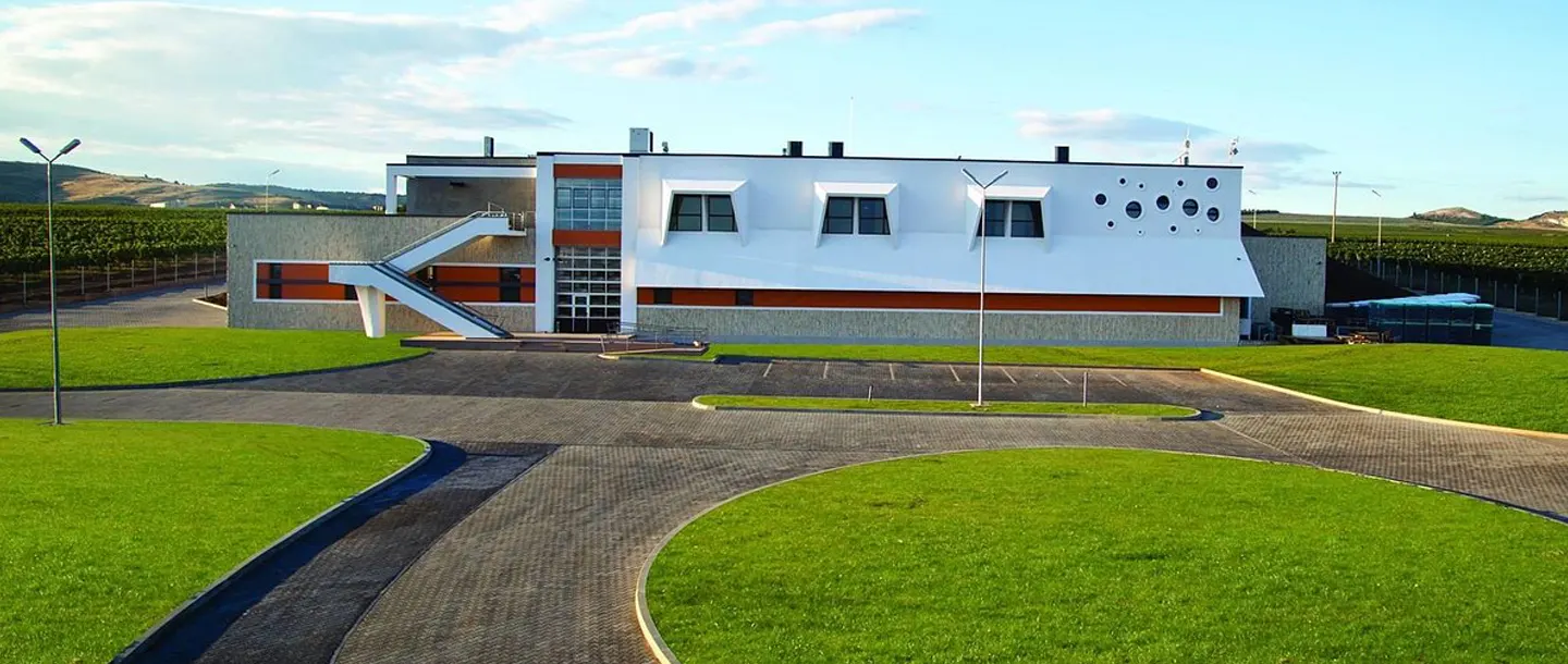 Wine Tourism -Budureasca Winery