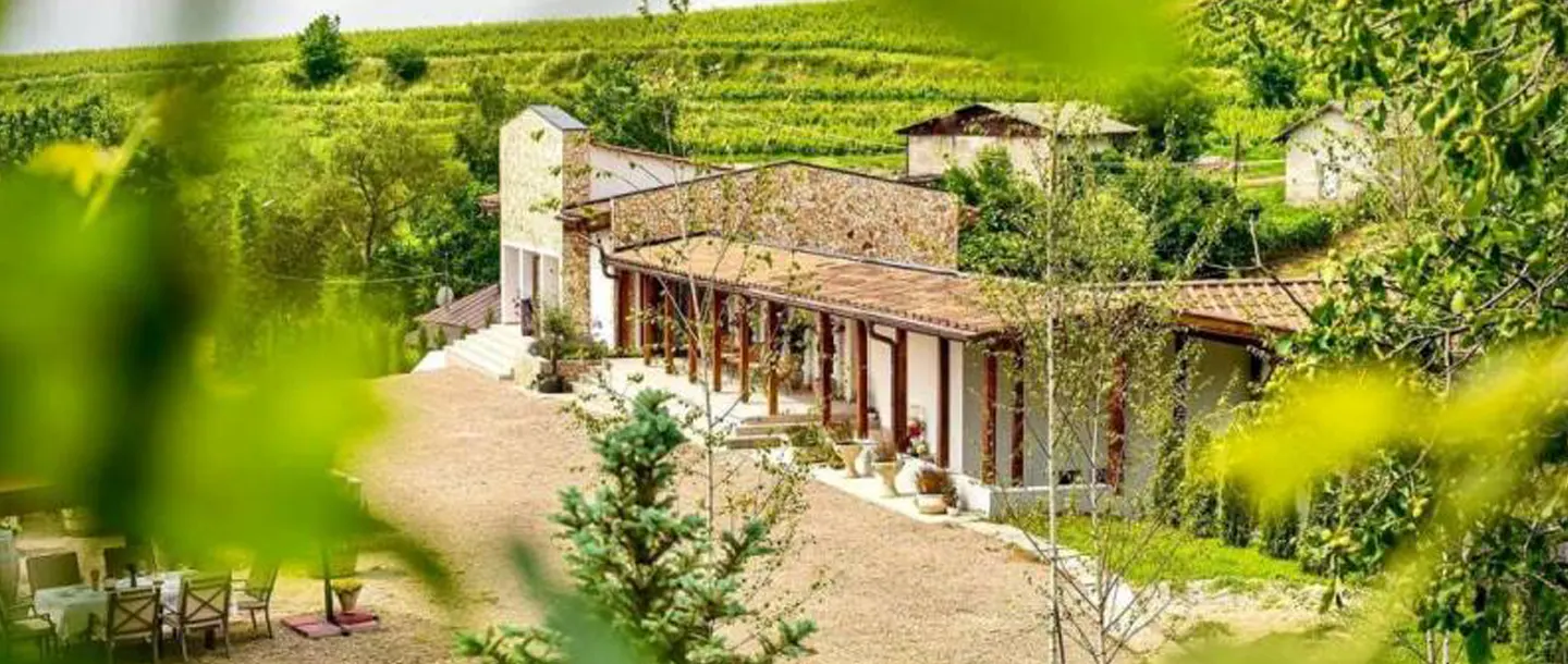 Domeniul Aristitei Winery