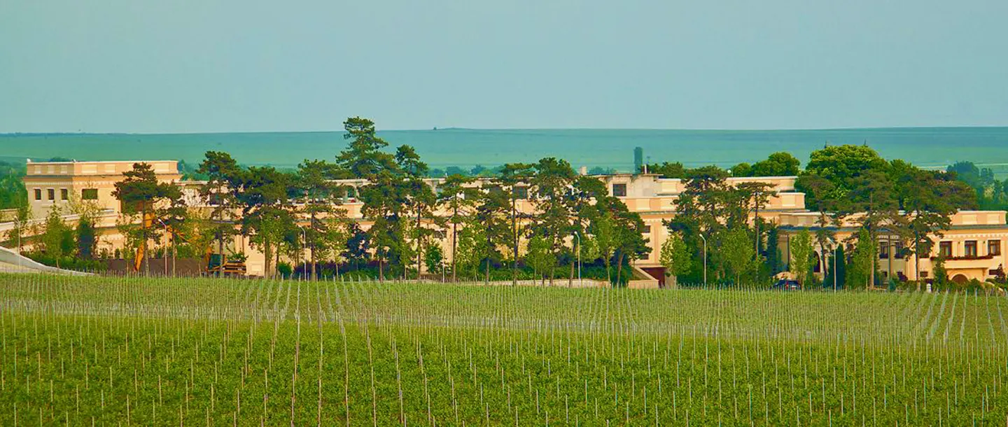 Oltenia Wine Tourism - Domeniul Coroanei Segarcea Winery