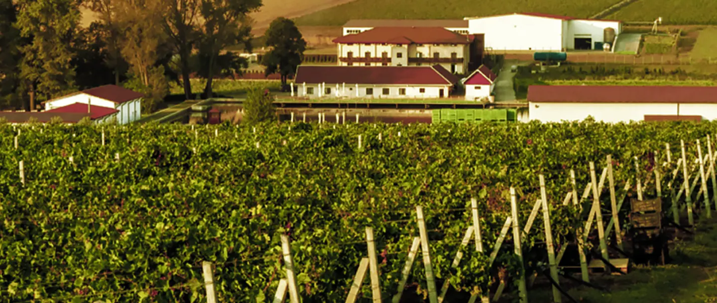 Romanian Wines - Wine Tourism - Hermeziu Winery