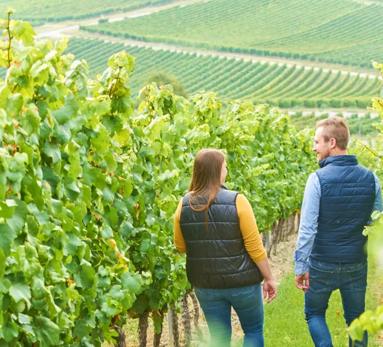 Oprișor Winery - Reh Kenderman