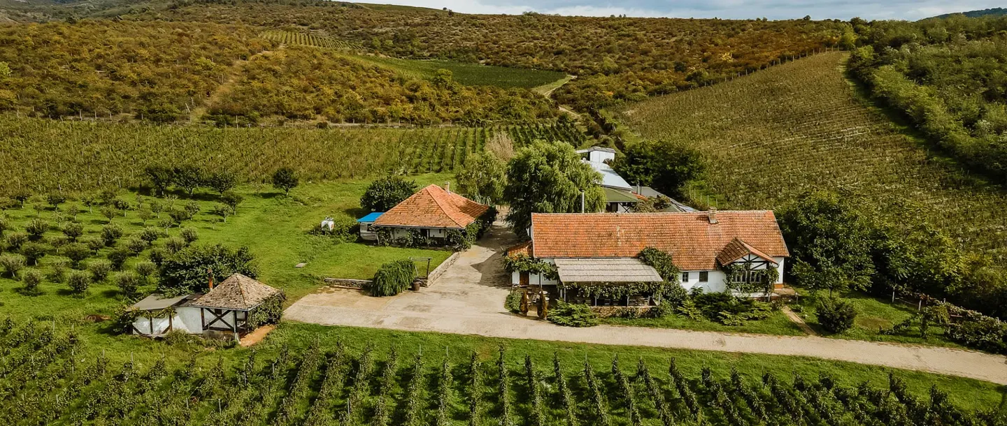 Crama Pivnitele Biraruas -  Winery