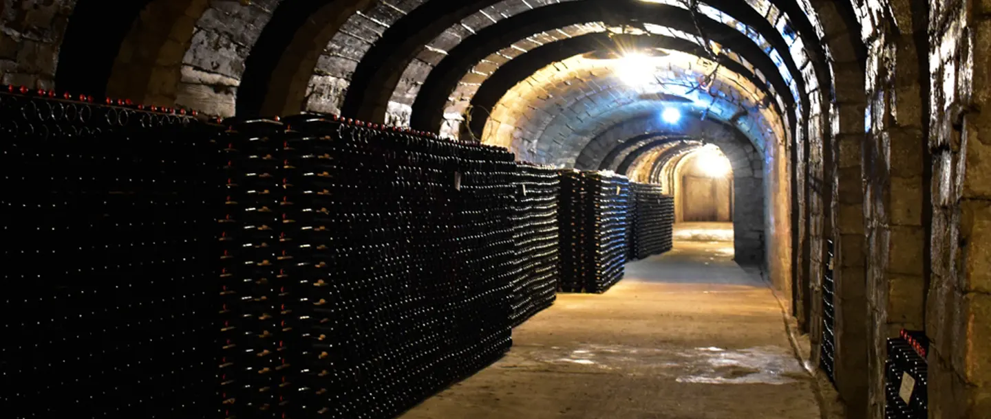 Podgoria Silvania Winery