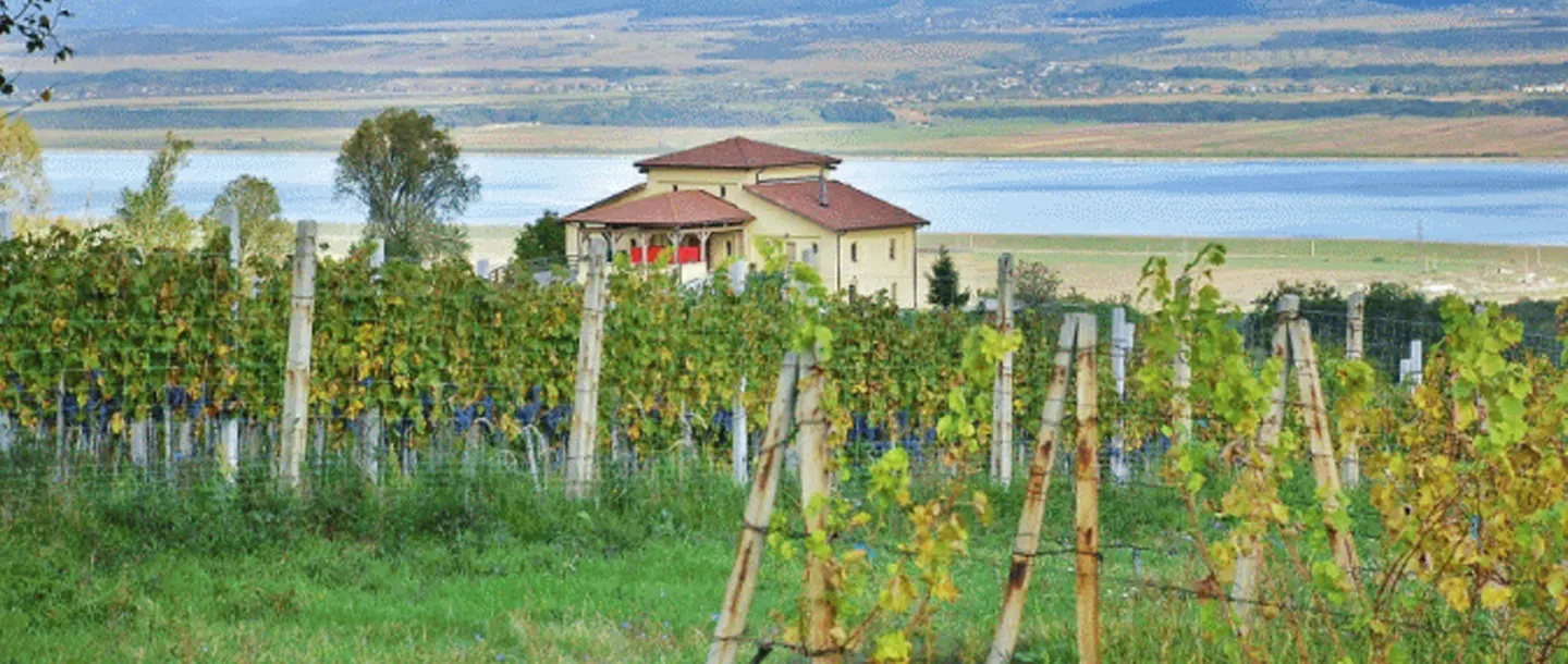 Oltenia Wine Tourism - Stirbey Winery