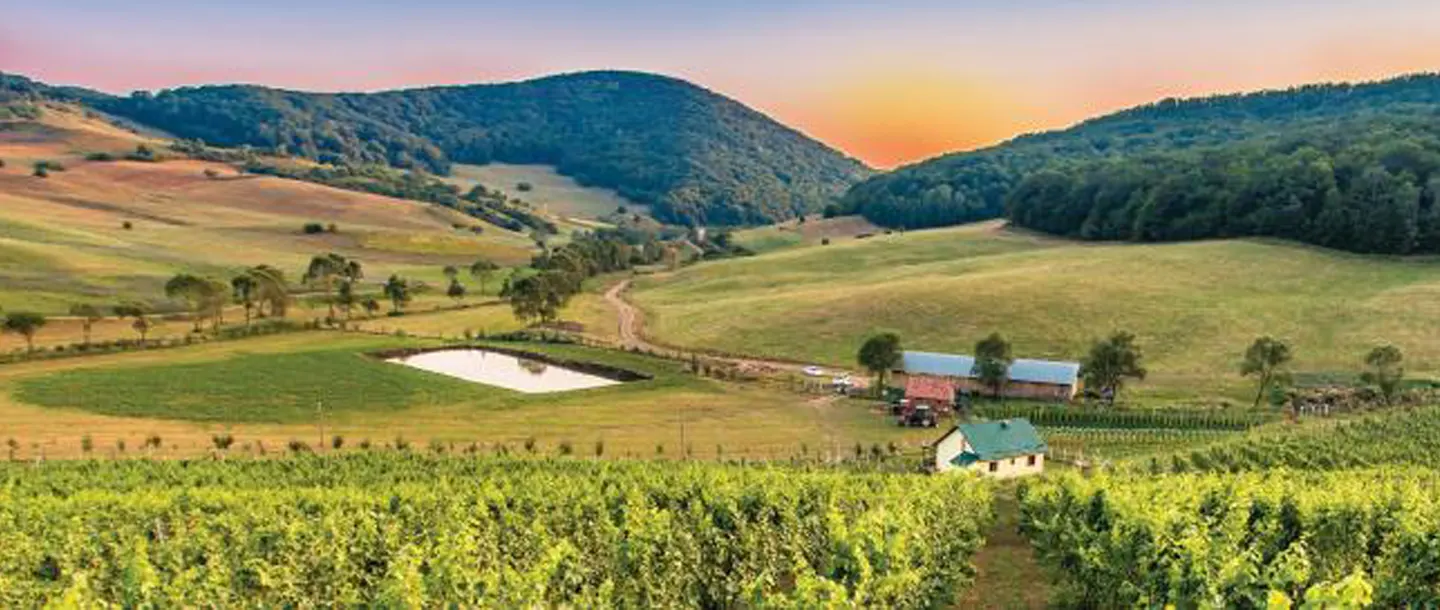 Valea Ascunsa Winery