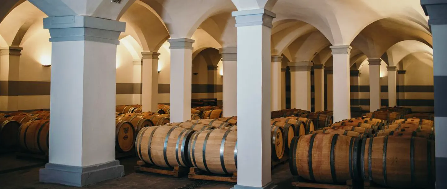 Vinarte Castel Bolovanu