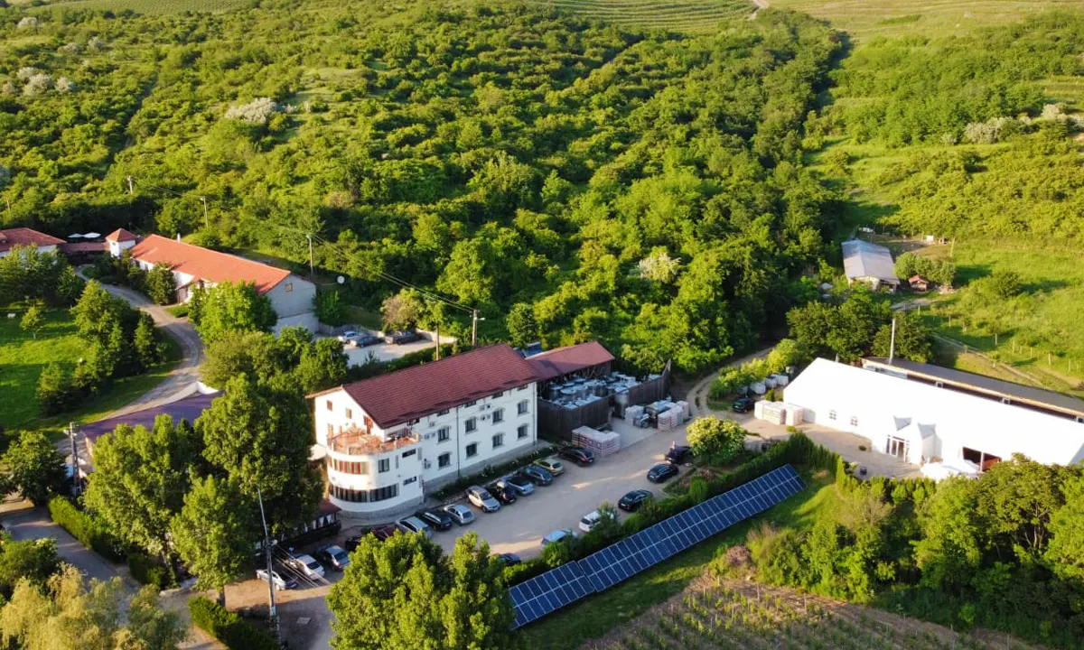 1000 de Chipuri Winery