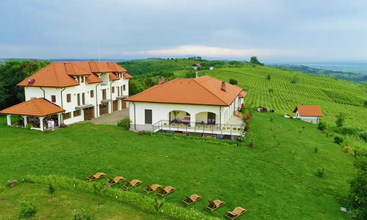 BAUER WINERY DRAGASANI