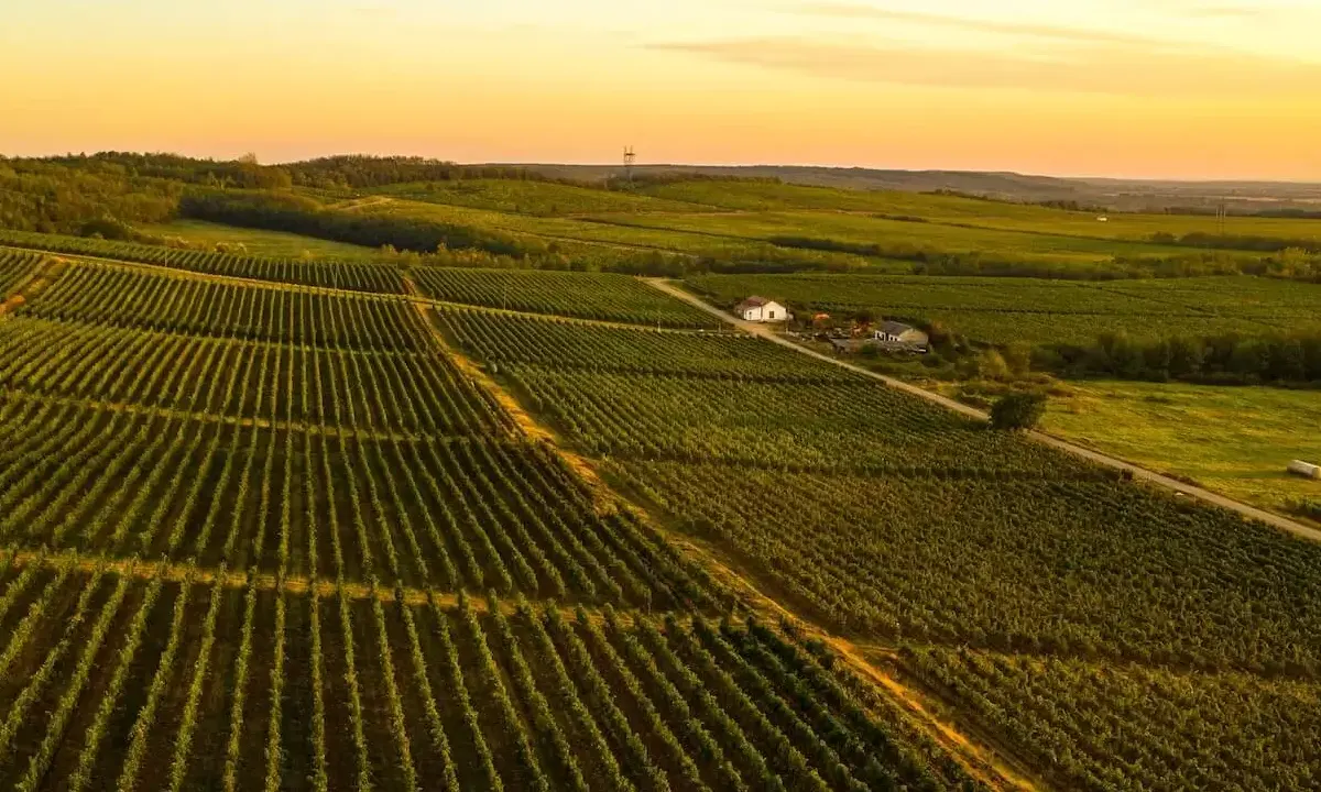 DOMENIILE SAMBURESTI