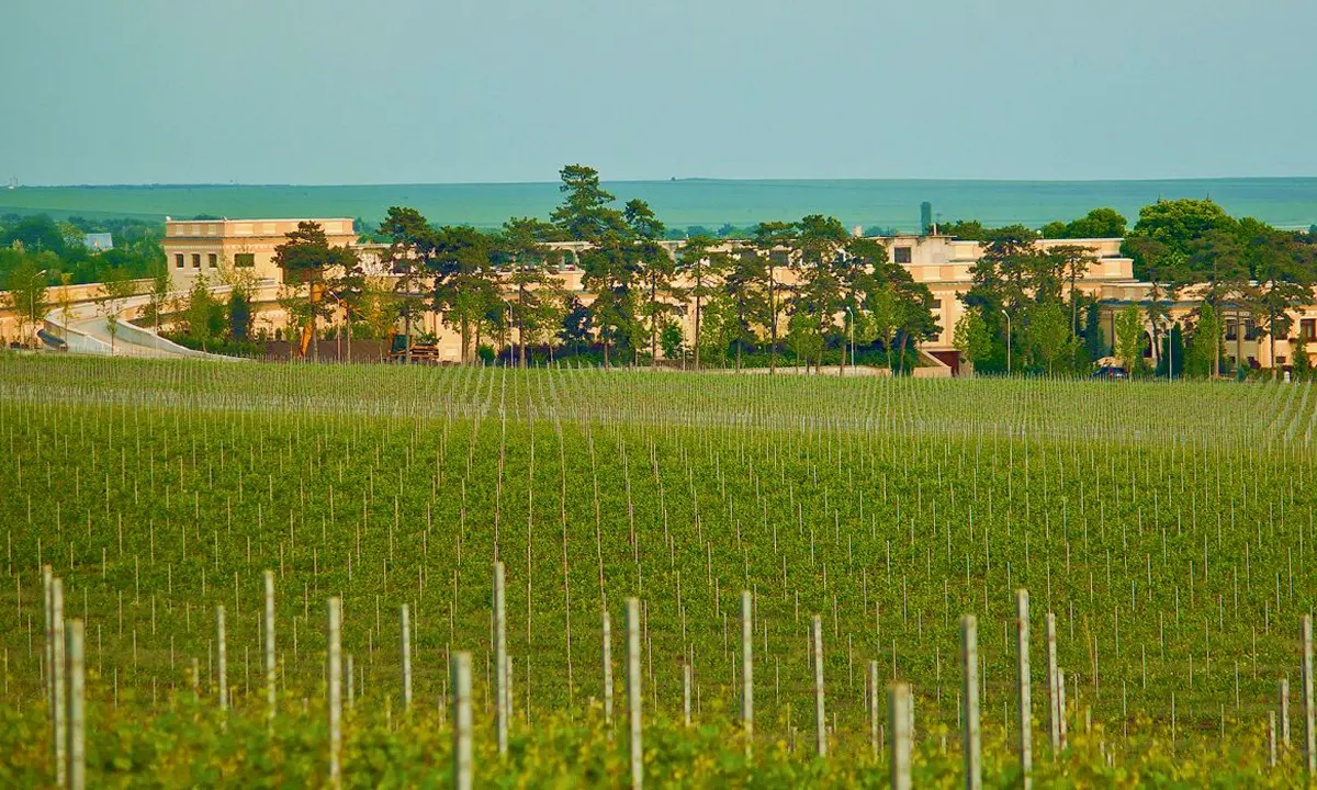 DOMENIUL COROANEI SEGARCEA