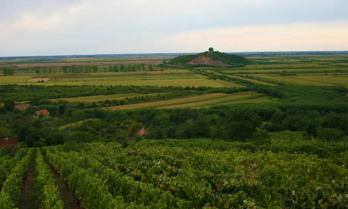 Dobra Winery