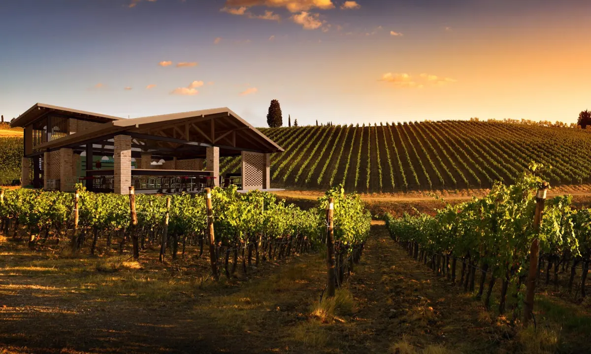 Domeniul Strehan Winery