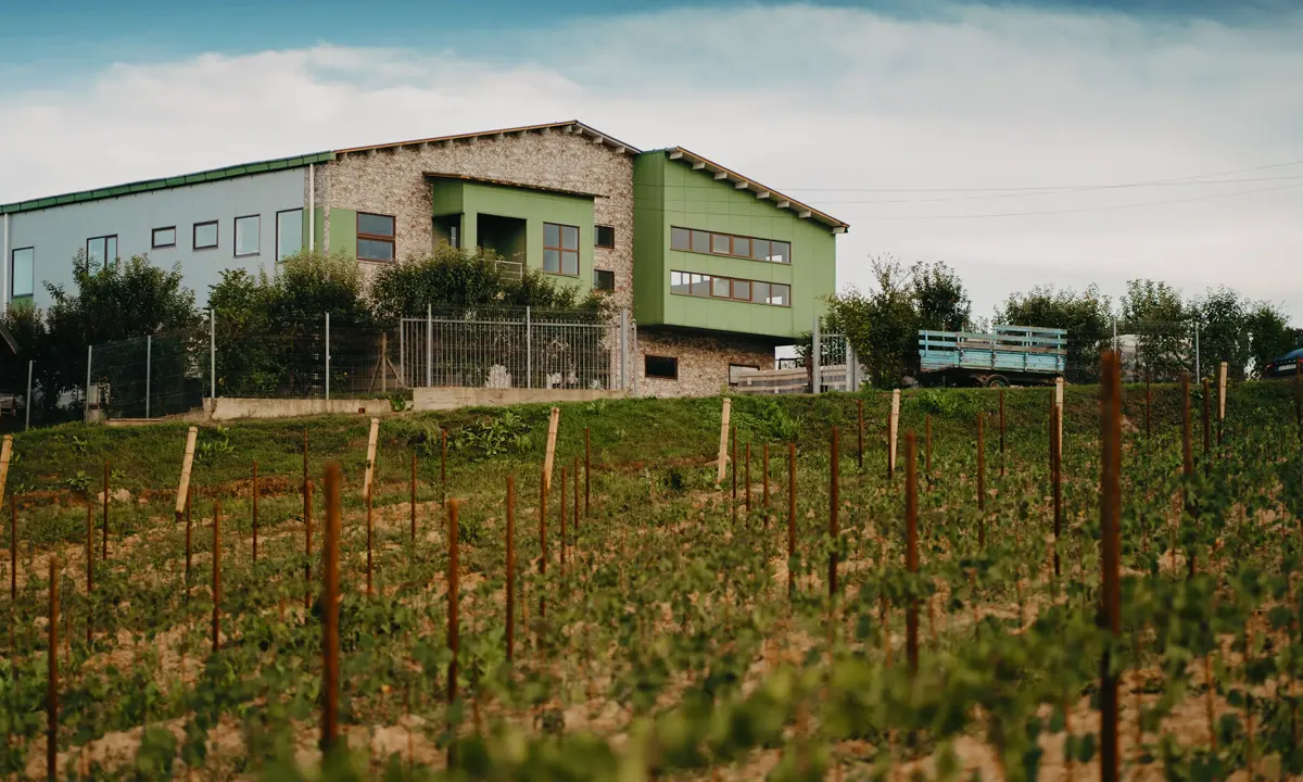 Romanian Wines - Gramma Winery