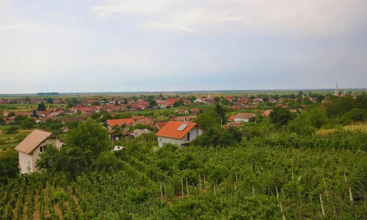 Familia Hetei Winery