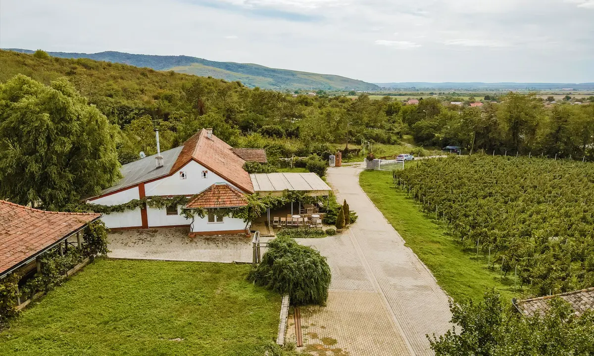 Pivnitele Birauas Winery