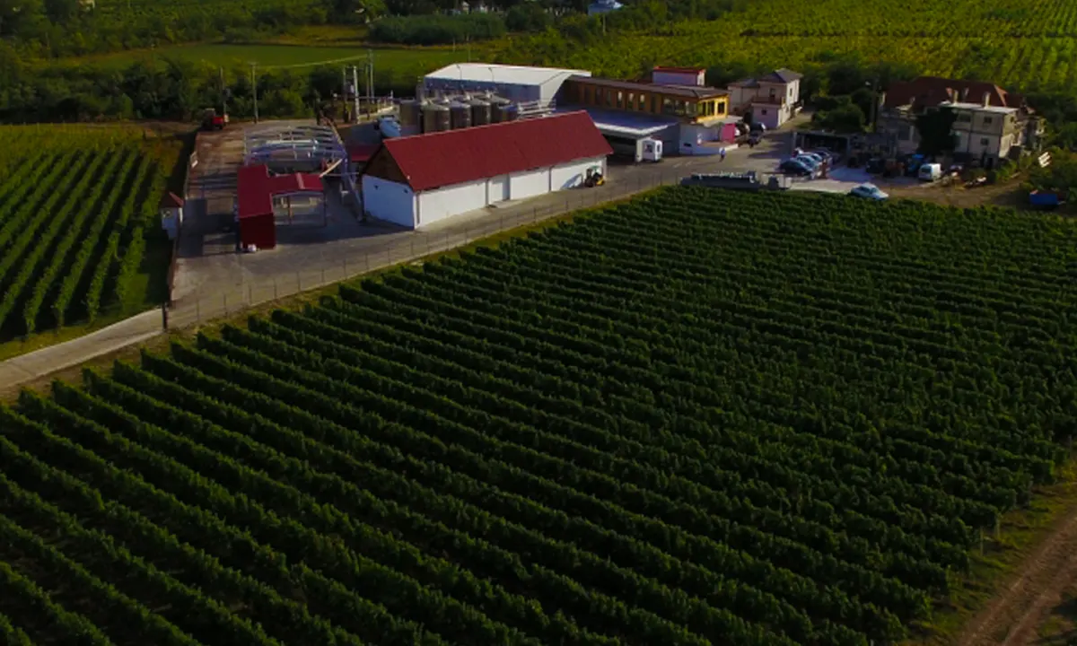 Tenuta Odobesti Winery