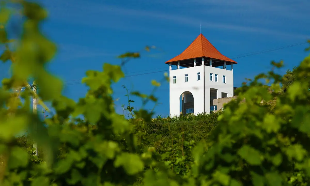 Villa Vinea Winery